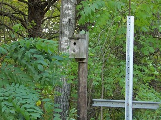 Wooden birdhouse with a metal pole for support, situated outdoors in a natural setting