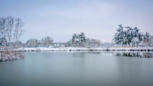 Picturesque winter scene of a lake, surrounded by a variety of trees on its shoreline