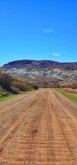 a desert landscape with dirt road and mountains in the distance