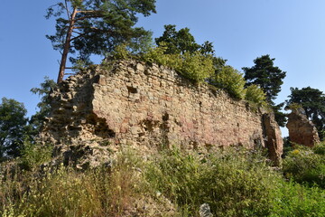 Ruiny, gotycki Zamek Zawiszy Czarnego w Rożnowie, Małopolska, Polska,  © Albin Marciniak