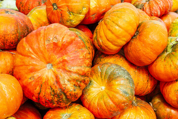 pile of pumpkins