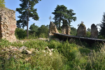 Ruiny, gotycki Zamek Zawiszy Czarnego w Rożnowie, Małopolska, Polska,  © Albin Marciniak