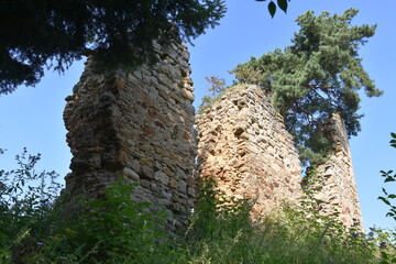 Ruiny, gotycki Zamek Zawiszy Czarnego w Rożnowie, Małopolska, Polska,  © Albin Marciniak