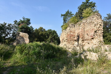 Fototapeta na wymiar Ruiny, gotycki Zamek Zawiszy Czarnego w Rożnowie, Małopolska, Polska, 