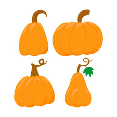 Pumpkin flat icon. Sign kit of halloween. Thanksgiving pictogram collection farm harvest, closeup squash, vegetable. Simple pumpkin cartoon colorful icon symbol isolated white Vector Illustration