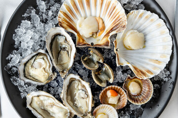 Dish of marine mollusks and shells