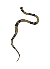 Fototapeta premium Vector hand-drawn illustration of yellow striped Snake top view. Isolated on white background