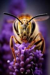 Zelfklevend Fotobehang a lavender bee dream © Hermit2/Wirestock Creators