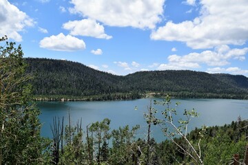 Fototapeta na wymiar Bright Blue Sky Covers Shaded Lake