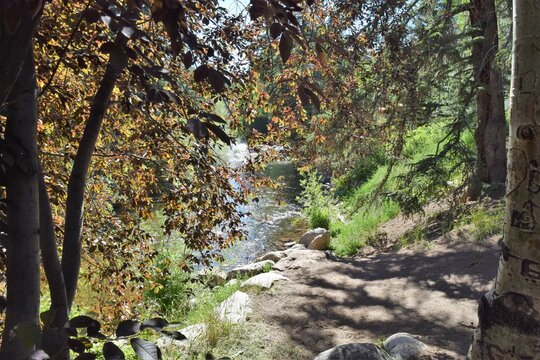 Shaded Pathway Overlooks River Walk