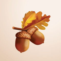 3d acorn. Realistic oak nut with leaves, isolated acorns and fall leaf for autumn nature background decoration, exact vector illustration © ssstocker