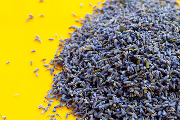 Dried lavender flowers on yellow background.