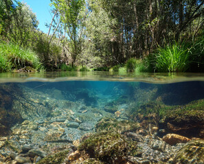 Wild stream with clear water, split level view over and under water surface, natural scene, Spain, Galicia, Pontevedra province
