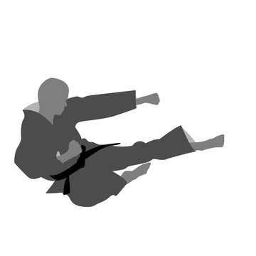 Vector graphic of a person in a dobok doing a jump kick