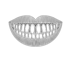 smiling mouth showing teeth. vintage engraving drawing style vector illustration