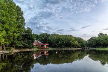 Obraz premium 茨城県つくば市 夏の洞峰公園の朝