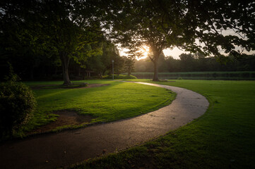 茨城県つくば市　夏の洞峰公園の朝