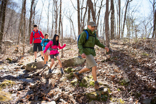 A group of four hikers wearing backpacks makes their way down a rocky trail in the woods