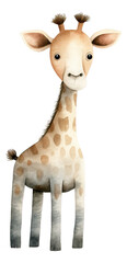 Cute giraffe cartoon character, Hand drawn watercolor isolated.