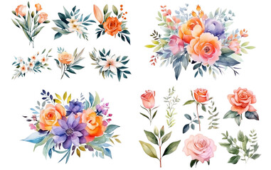 Fototapeta na wymiar Watercolor flowers on a white background without shadows for illustration.