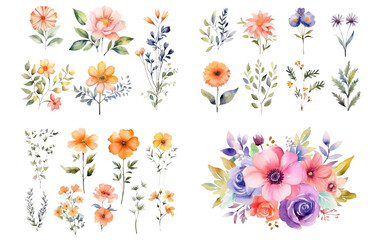 Obraz na płótnie Canvas Watercolor flowers on a white background without shadows for illustration.