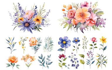 Watercolor flowers on a white background without shadows for illustration.