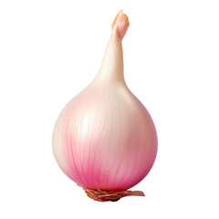 Fresh shallot photographed on a transparent background