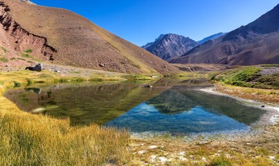 Beautiful Laguna Horcones, Green Grassland Landscape.  Scenic Mount Aconcagua Provincial Park Hiking,  Andes Mountain Range, Argentina South America