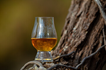Traditional Single malt Scotch whiskey in the Glencairn glass in selective focus.