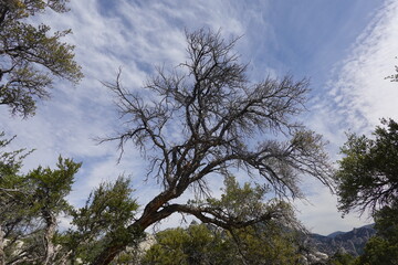 City of Rocks National Reserve - Almo, ID