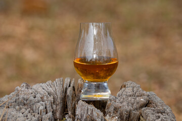 Traditional Single malt Scotch whiskey in the Glencairn glass in selective focus.
