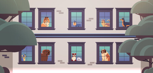 Happy national dog day greeting card various cute doggy looking out of apartment windows holiday of domestic animals