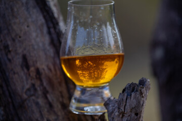 Traditional Single malt Scotch whiskey in the Glencairn glass in selective focus.