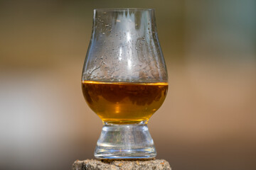 Single malt Scotch whiskey in the Glencairn glass in selective focus.