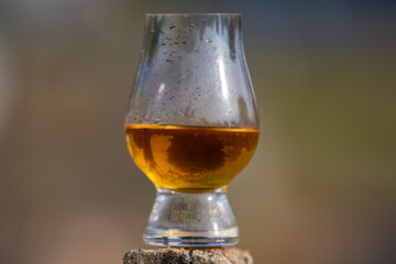 Single malt Scotch whiskey in the Glencairn glass in selective focus.