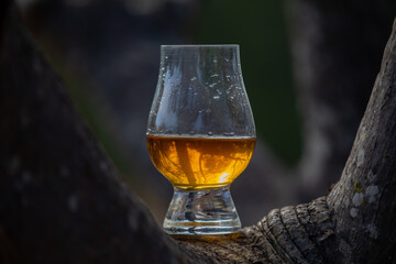 Single malt Scotch whiskey in the Glencairn glass in selective focus.