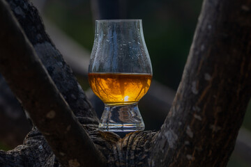 Single malt Scotch whiskey in the Glencairn glass in selective focus.