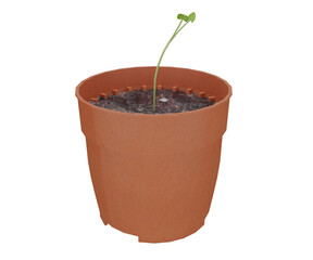 3d rendering orange pot with small plant
