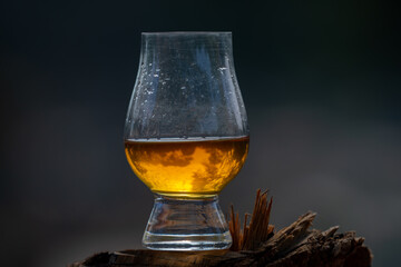 Single malt Scotch whiskey in the Glencairn glass in selective focus.