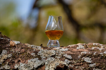 Single malt Scotch whiskey in the Glencairn glass in selective focus.