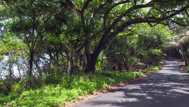 Driving along a remote ocean road on an island in the pacific ocean.