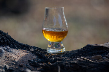 Single malt Scotch whiskey in the Glencairn glass in selective focus.