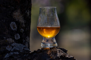 Single malt Scotch whiskey in the Glencairn glass in selective focus.