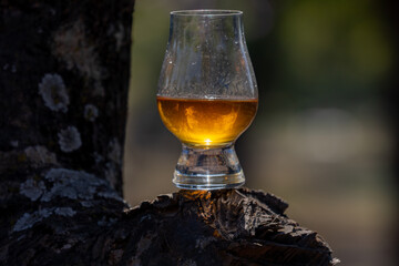 Single malt Scotch whiskey in the Glencairn glass in selective focus.