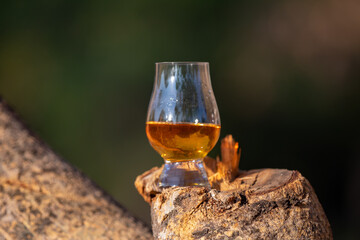Single malt Scotch whiskey in the Glencairn glass in selective focus.