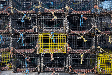 Lobster and Crab Traps