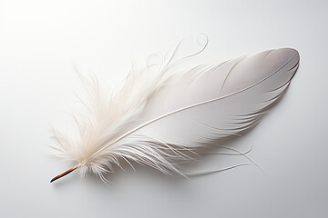 Obraz premium A delicate feather with intricate details - Generative AI
