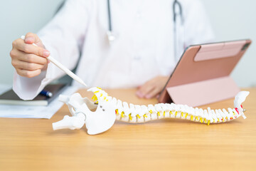 Doctor with human Spine anatomy model. Spinal Cord Disorder and disease, Back pain, Lumbar, Sacral...