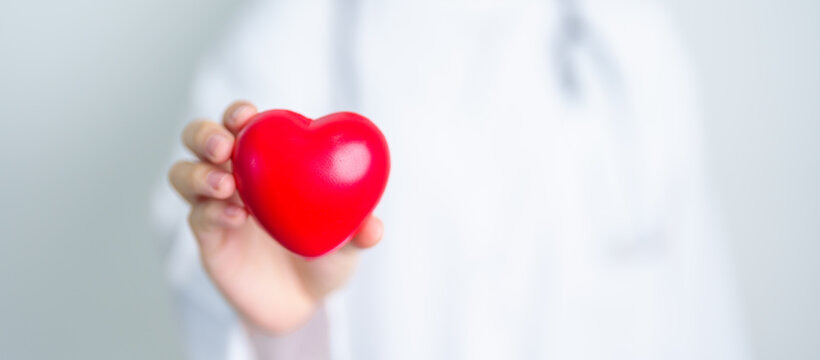 Doctor hand holding red heart shape in hospital. love, donor, world heart day, world health day, CSR donation and Insurance concepts