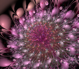 3D illustration. Fractal. White pink macro flower with drops on the petals. Graphic element, background, texture for web design.
